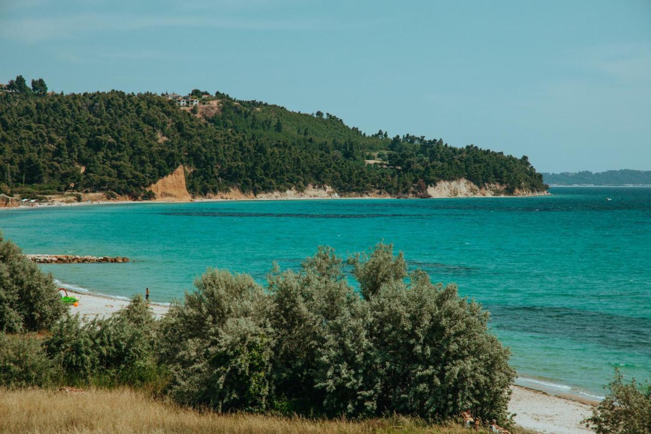 Forest House Near The Sea Apartman Száni-part Kültér fotó